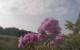 Montbliart 09.06.2025 18:28