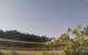 Montbliart 25.04.2025 18:28