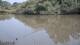 Les Landes-Genusson 01.07.2025 18:28