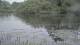 Les Landes-Genusson 29.04.2025 18:28