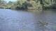 Les Landes-Genusson 29.04.2025 18:28