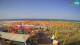 Riccione 07.06.2025 18:28