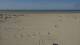 Dunkirk 08.07.2025 18:28