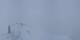 Grindelwald 08.05.2025 18:18