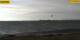 Gold auf Fehmarn 22.04.2025 18:29