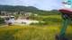 Bohinjska Bistrica 06.07.2025 18:28