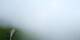 Flumserberg 26.06.2025 18:22