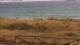 El Palmar de Vejer 11.05.2025 18:30