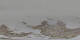 St. Moritz 18.03.2025 18:29