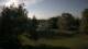 Steinbrunn 30.04.2025 18:31