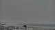 Zandvoort 09.06.2025 18:31