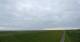 Westerhever 05.07.2025 18:31