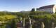 Herrnchiemsee 12.05.2025 18:30