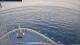 Norwegian Aqua 04.07.2025 18:34