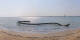 Saint-Brevin-les-Pins 08.06.2025 18:04