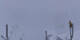 Crans-Montana 05.05.2025 18:34