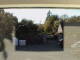 Coolgreany 08.05.2025 18:49