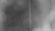 Henne 27.10.2026 18:34