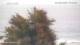 Nigran 02.06.2025 18:50