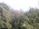 Herdecke 21.05.2025 18:50