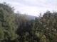 Herdecke 17.04.2025 18:50