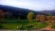 Nellysford, Virginia 30.04.2025 18:48