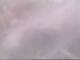 Fort Lauderdale, Florida 03.07.2025 18:49