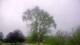 Harriman, New York 08.06.2025 18:51