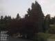 Son en Breugel 14.06.2025 19:46