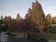 Son en Breugel 30.04.2025 19:46