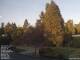 Son en Breugel 30.04.2025 19:46