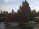 Son en Breugel 25.03.2025 19:46