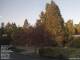 Son en Breugel 29.04.2025 19:46