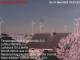 Suthfeld 10.05.2025 19:52