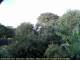 Audley 20.06.2025 19:53