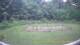 Tustin, Michigan 11.07.2025 19:53