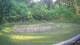 Tustin, Michigan 14.06.2025 19:53