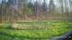 Tustin, Michigan 10.05.2025 19:54