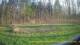 Tustin, Michigan 29.04.2025 19:54