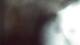 Buchanan, Virginia 30.04.2025 19:58