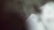 Buchanan, Virginia 29.06.2025 19:58