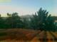 Pallini 17.03.2025 19:54