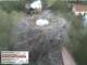 Aurach 08.05.2025 19:54