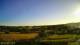 Carnkie 11.07.2025 19:54