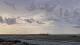 Tampa, Florida 03.07.2025 19:04