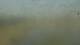 Monroe, Michigan 14.07.2025 19:06