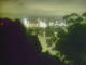Linley Point 30.06.2025 19:54
