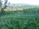 Feuerbach 30.04.2025 19:58