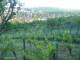 Feuerbach 20.04.2025 19:58