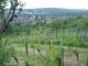 Feuerbach 22.04.2025 19:58